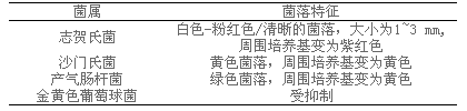 志賀氏菌顯色培養(yǎng)基